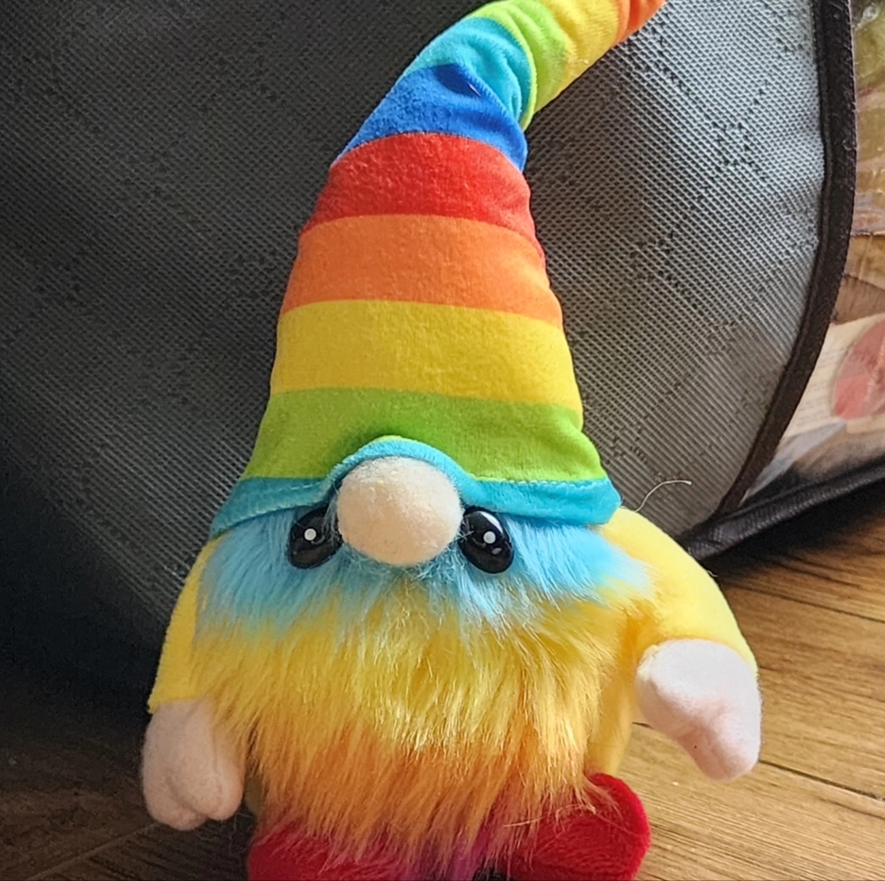 Finn the Gnomie